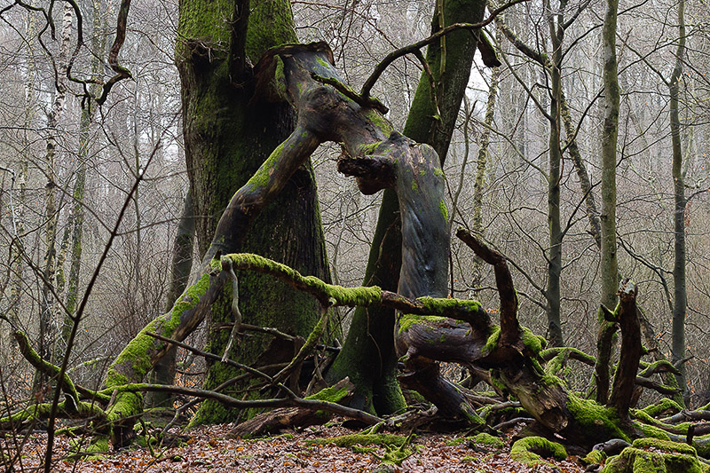 Ausstellung der LahnArtists Fotogruppe im Museum Hadamar