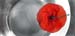 Roter Mohn I 30mal54 90